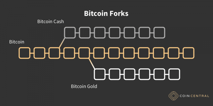bitcoin-forks-coincompare