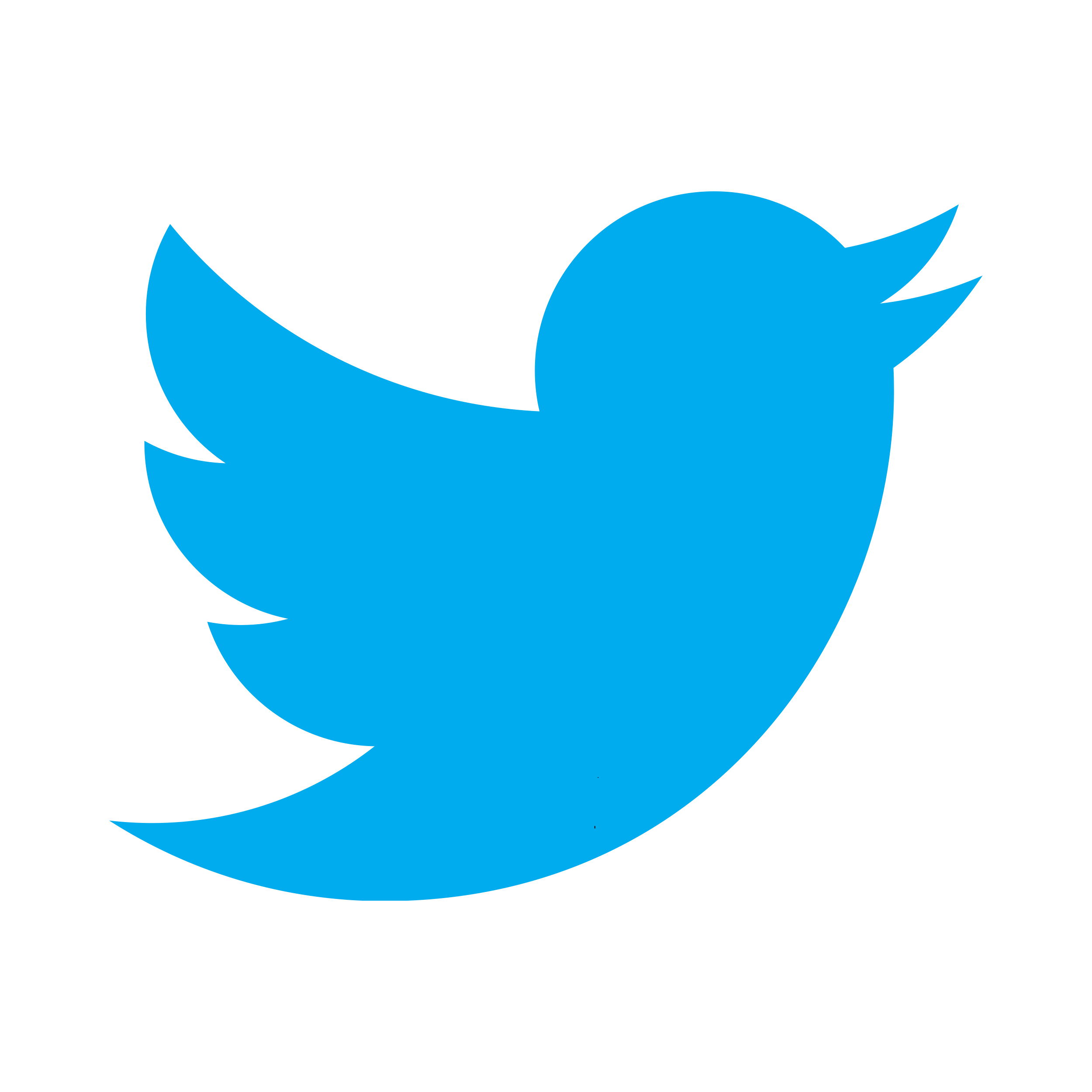 Blue bird twitter logo
