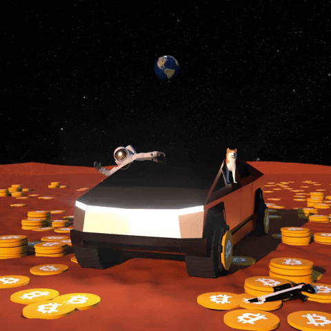 Dogecoin riding Tesla on the moon full of bitcoin
